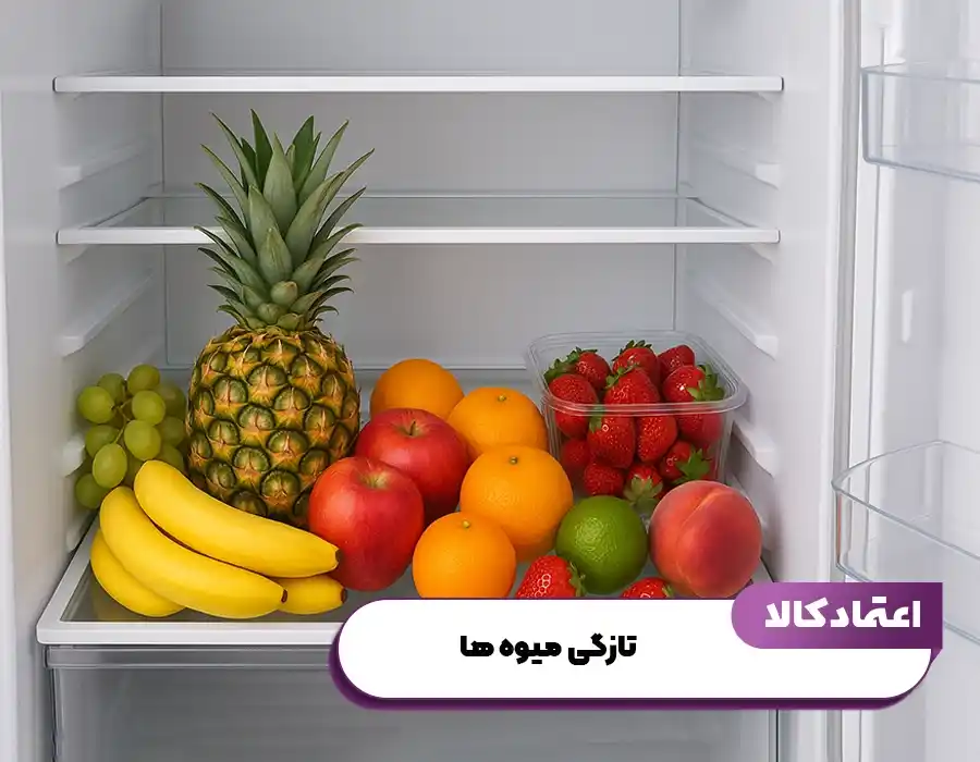 یخچال فریزر دوقلو جی پلاس