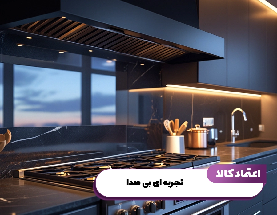هود تاکننوگلد تجربه ای بی صدا