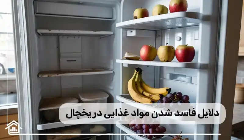 دلایل فاسد شدن مواد غذایی در یخچال فریزر